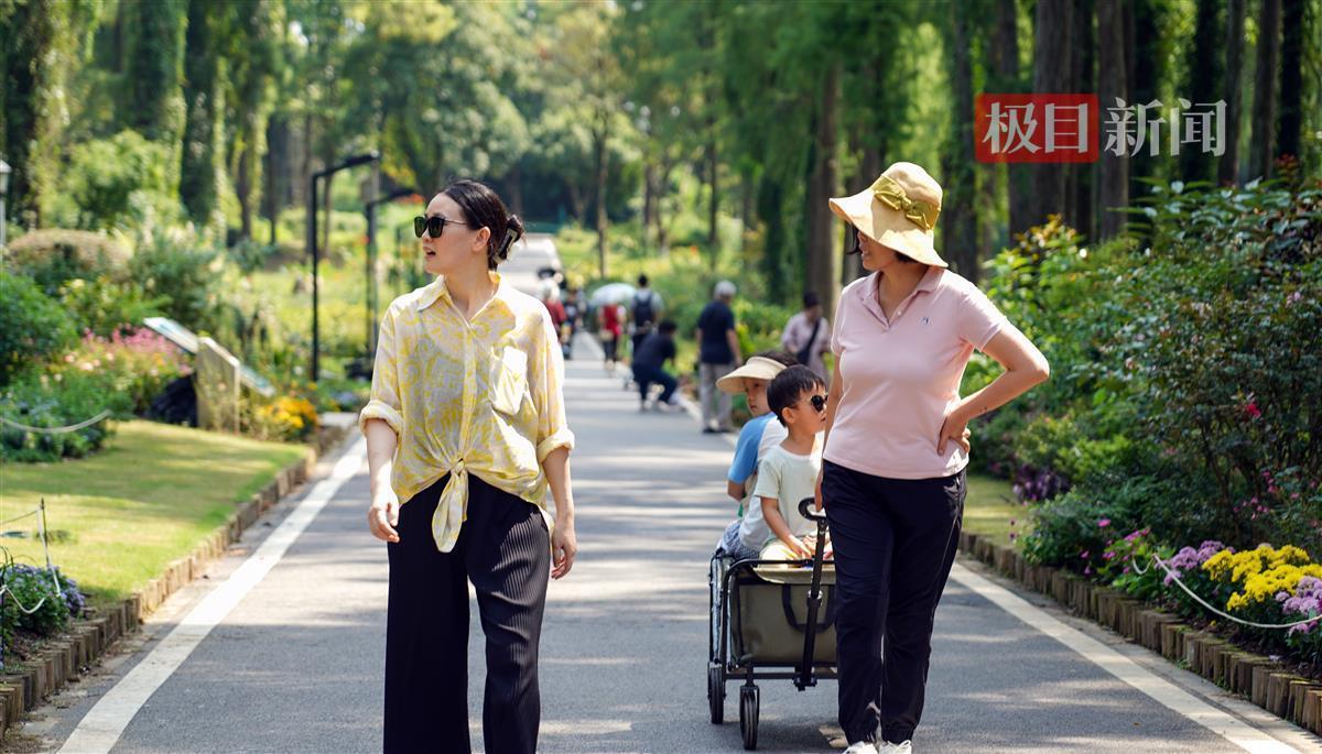 顶级官方直营